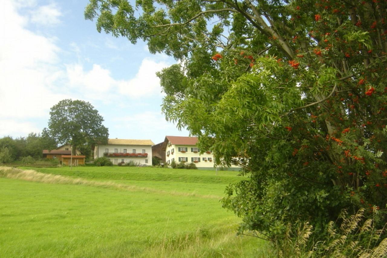 Birkenhof Apartment Neukirchen beim Heiligen Blut Luaran gambar